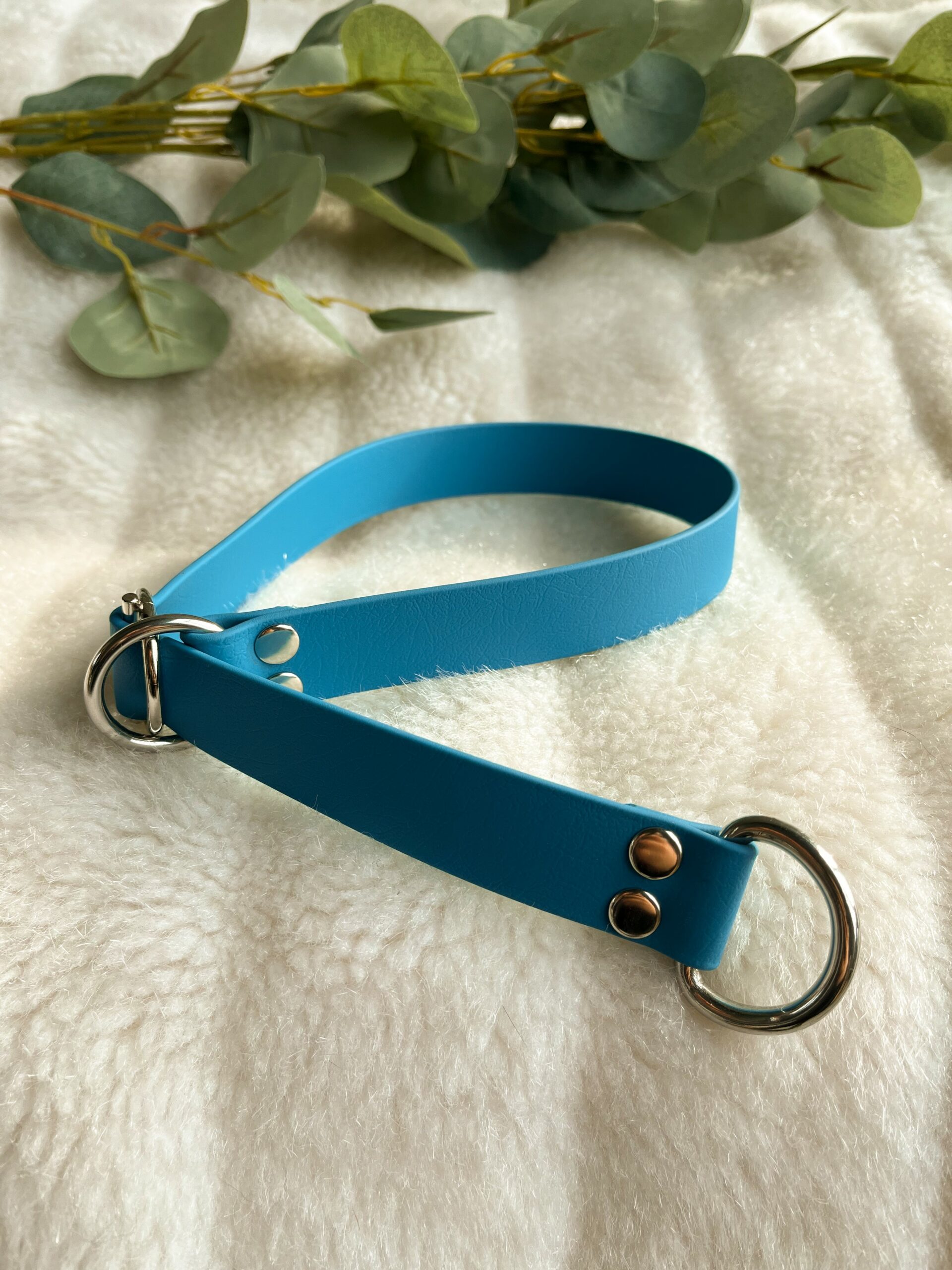 Collier Martingale en Biothane® Le Pouvoir du Chien
